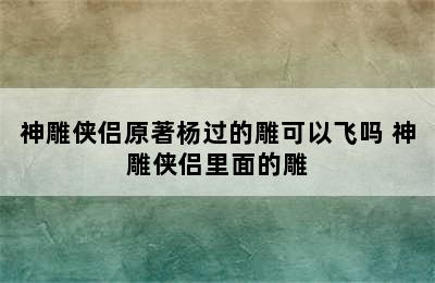 神雕侠侣原著杨过的雕可以飞吗 神雕侠侣里面的雕